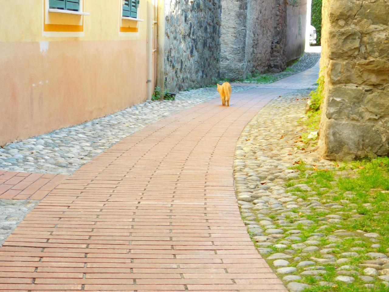 Apartamento Bellissima Casa Nel Centro Storico!!! Levanto Exterior foto